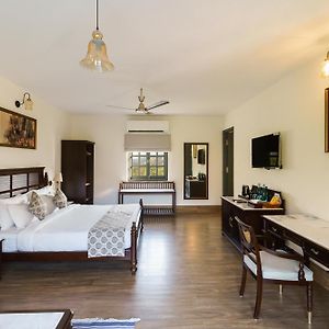 Junior Suite Terrace
